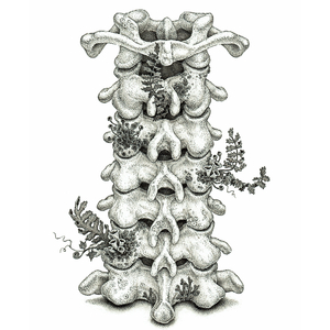 主人打我屁股就是要羞耻的视频
